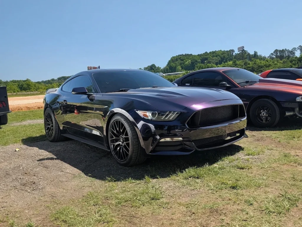 A black Ford Mustang parked on grass with a background of trees and another car.