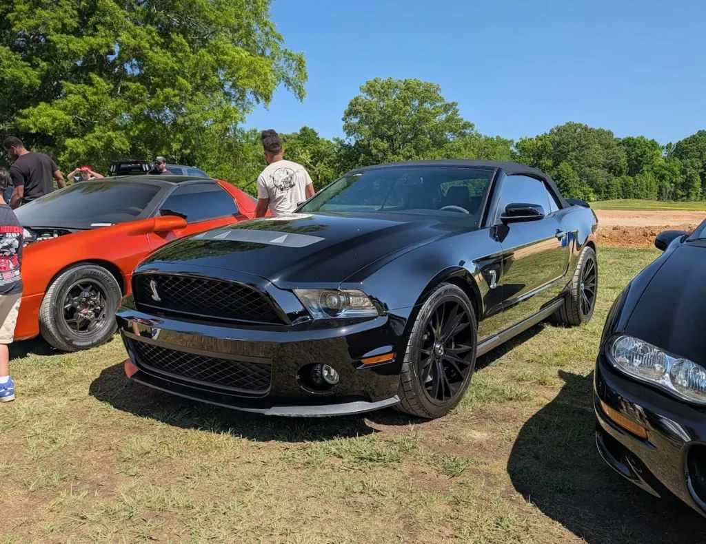 Black Ford Mustang parked on grass with trees in the background.