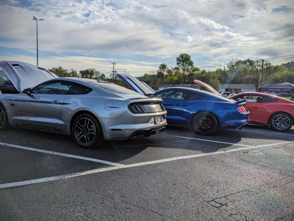 Ford Mustangs - Driver’s side, rear 3/4