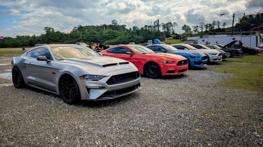 Ford Mustangs