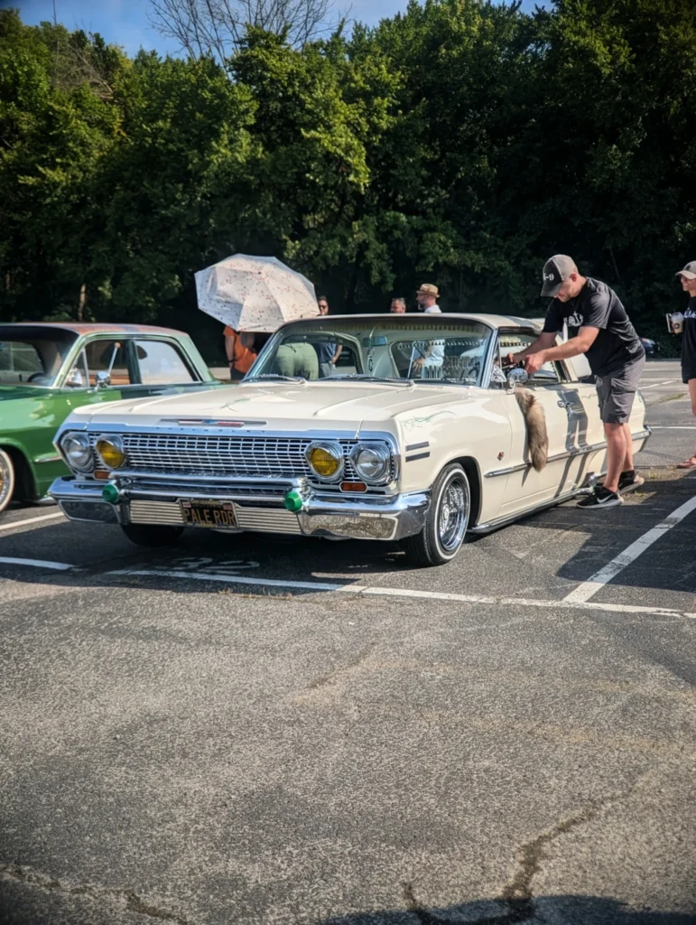 White Chevrolet Impala parked in a lot with a man adjusting side mirror, green car in background and trees behind