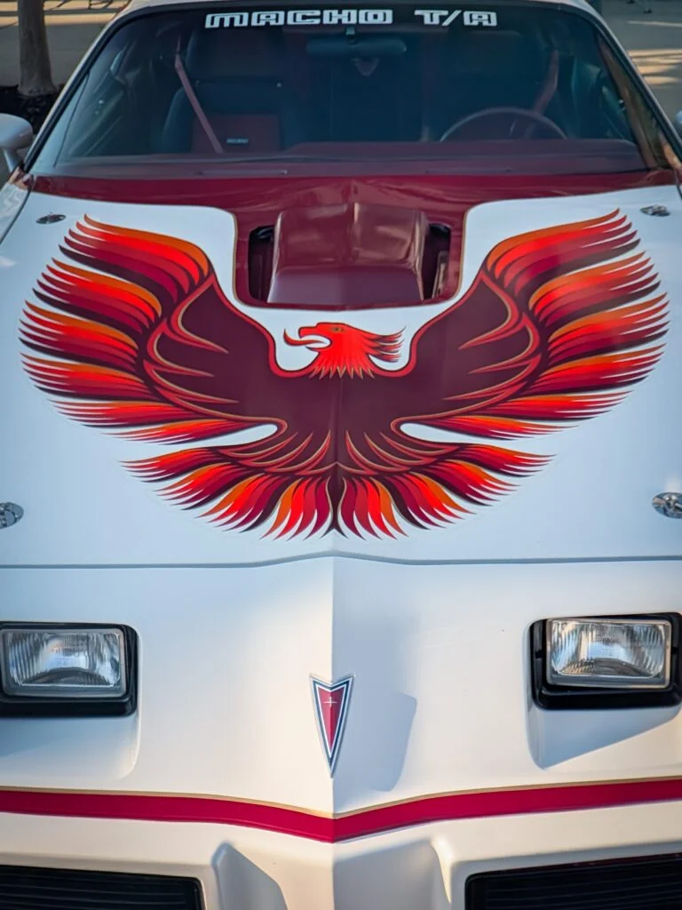 White Pontiac Firebird Trans Am with large red and orange bird decal on hood, photographed front-on outdoors.