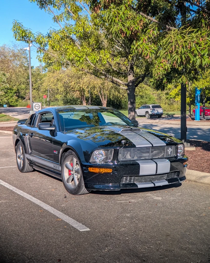 Black Ford Mustang Shelby GT with white racing stripes parked in a lot under a tree